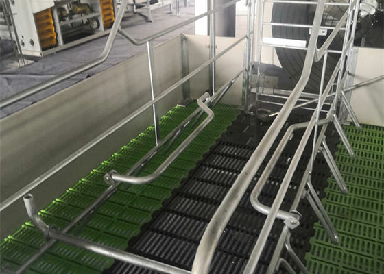 کیفیت  Fabricated Prefab Steel Structure Pig House Galvanised Industrial کارخانه