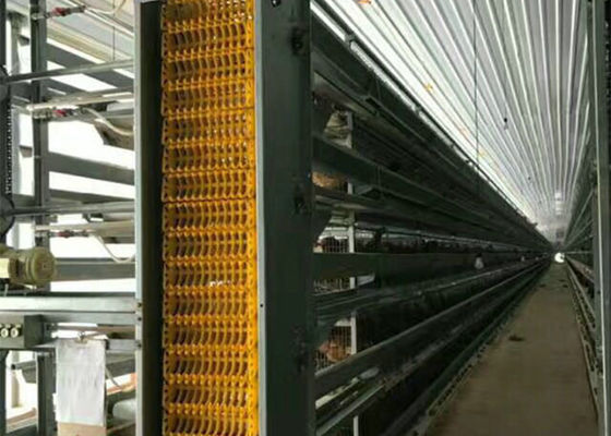 Q235B / Q355B سازه فولادی مزرعه مرغ خانه نسوز گیگابایت