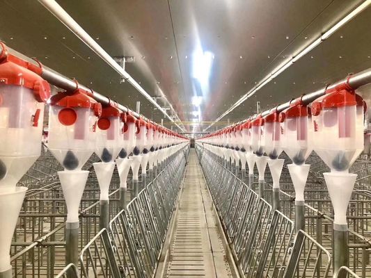 قاب فولادی پیش ساخته ISO9001 پورتال سازه فولادی ضد باد Pig House