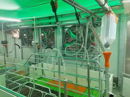 قاب فولادی پیش ساخته ISO9001 پورتال سازه فولادی ضد باد Pig House
