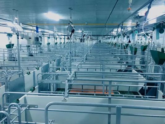 قاب فولادی پیش ساخته ISO9001 پورتال سازه فولادی ضد باد Pig House