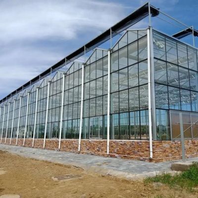 کشت سبزی کشت بدون خاک گلخانه کاشت چند لایه شیشه ای