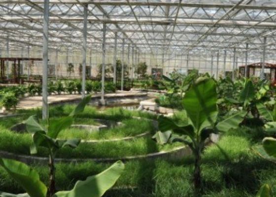 رستوران گلخانه ای دیدنی لوله گالوانیزه سفارشی شکل 4600㎡