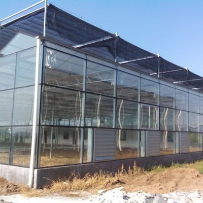 گلخانه گلدان شیشه ای گیاهان با بازده بالا برای گوجه فرنگی / خیار