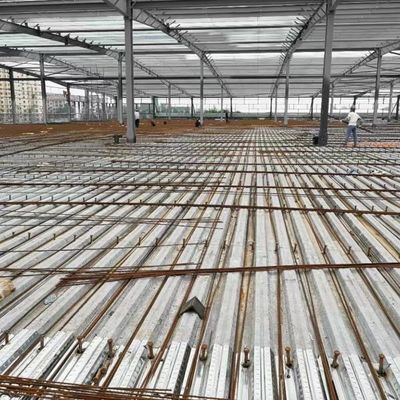 سازه فولادی Q355B برای انبارداری ساختمان کارگاه انبار