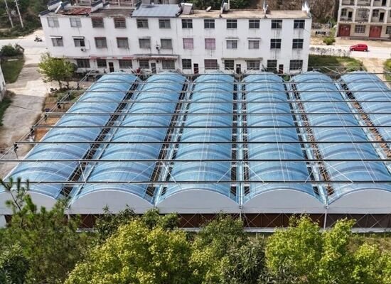 گلخانه ای از پلی اتیلن که برای افزایش محصول سبزیجات و سرعت بخشیدن به فرآیند بلوغ آن استفاده می شود