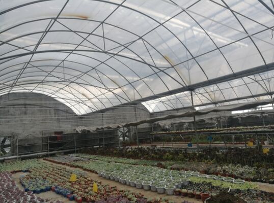 گلخانه ای از پلی اتیلن که برای افزایش محصول سبزیجات و سرعت بخشیدن به فرآیند بلوغ آن استفاده می شود