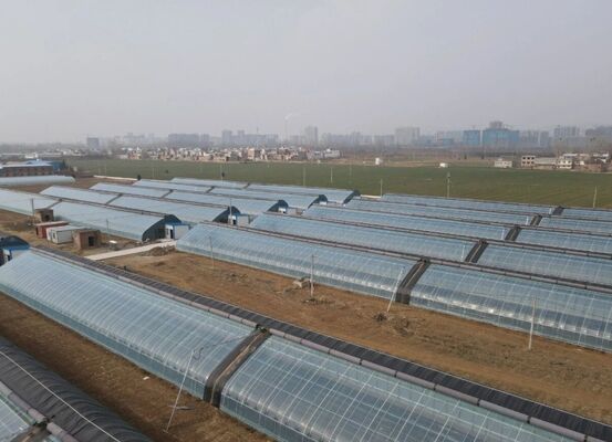 گلخانه ای از پلی اتیلن برای پرورش گل های با کیفیت بالا