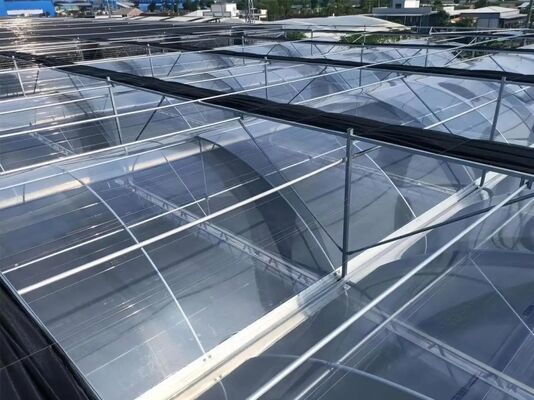 گلخانه ی شیشه ای گردشگری ونلو - گلخانه ی کشت میوه در مقیاس بزرگ