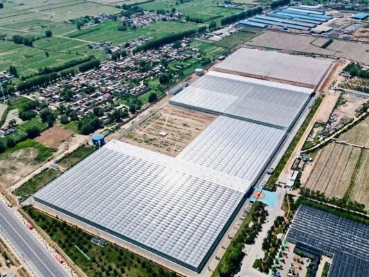 گلخانه کشت میوه، گلخانه شیشه ای بزرگ Woonloos