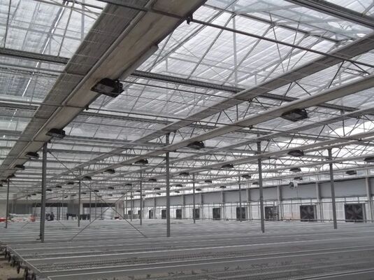 گلخانه کشت میوه، گلخانه شیشه ای بزرگ Woonloos